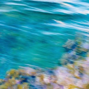 Palette Pacifique - 26